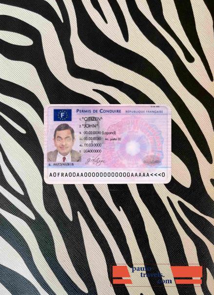 France DL photolook FRONT PSD template